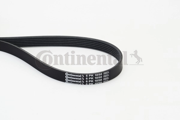 V-ribbed Belt